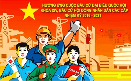 Bầu cử HĐND tỉnh