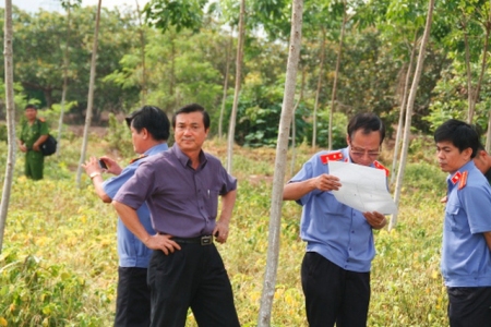 hình minh hoạ