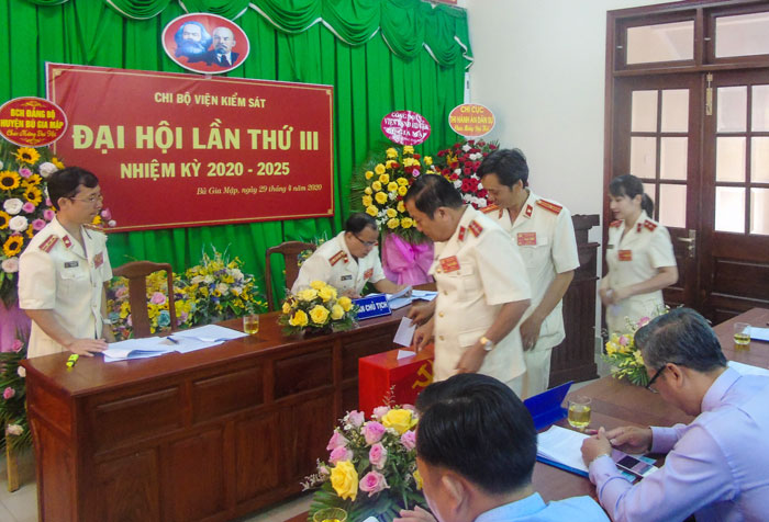 Đại biểu Bầu cử